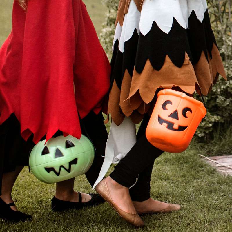 All Treats, No Tricks At The Walsh Village Market