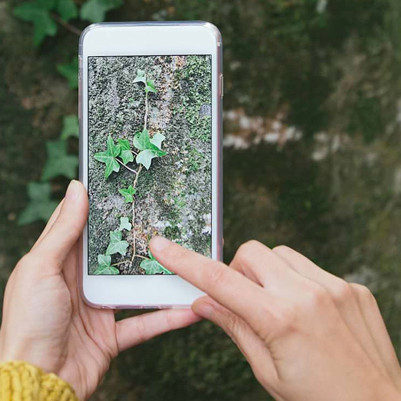 Living Here Means a Finding Balance