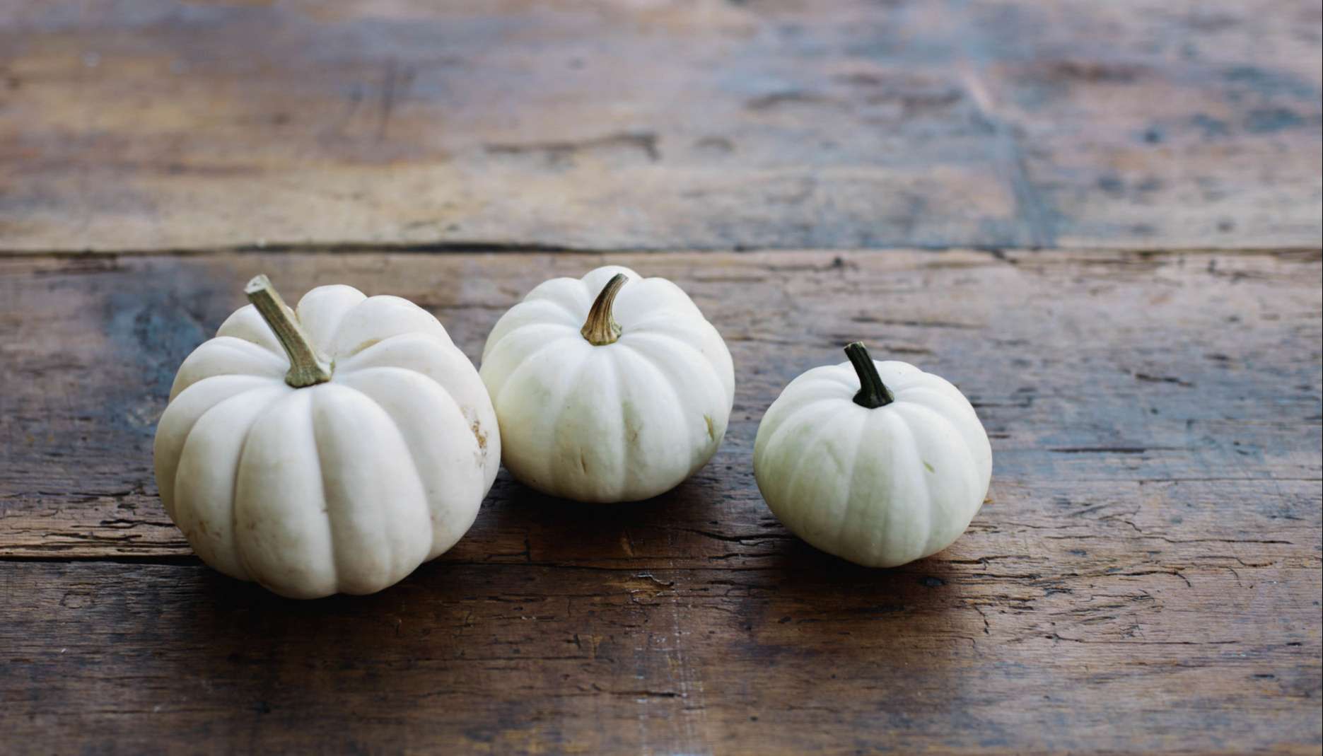 Three pumpkins on a table to celebrate fall