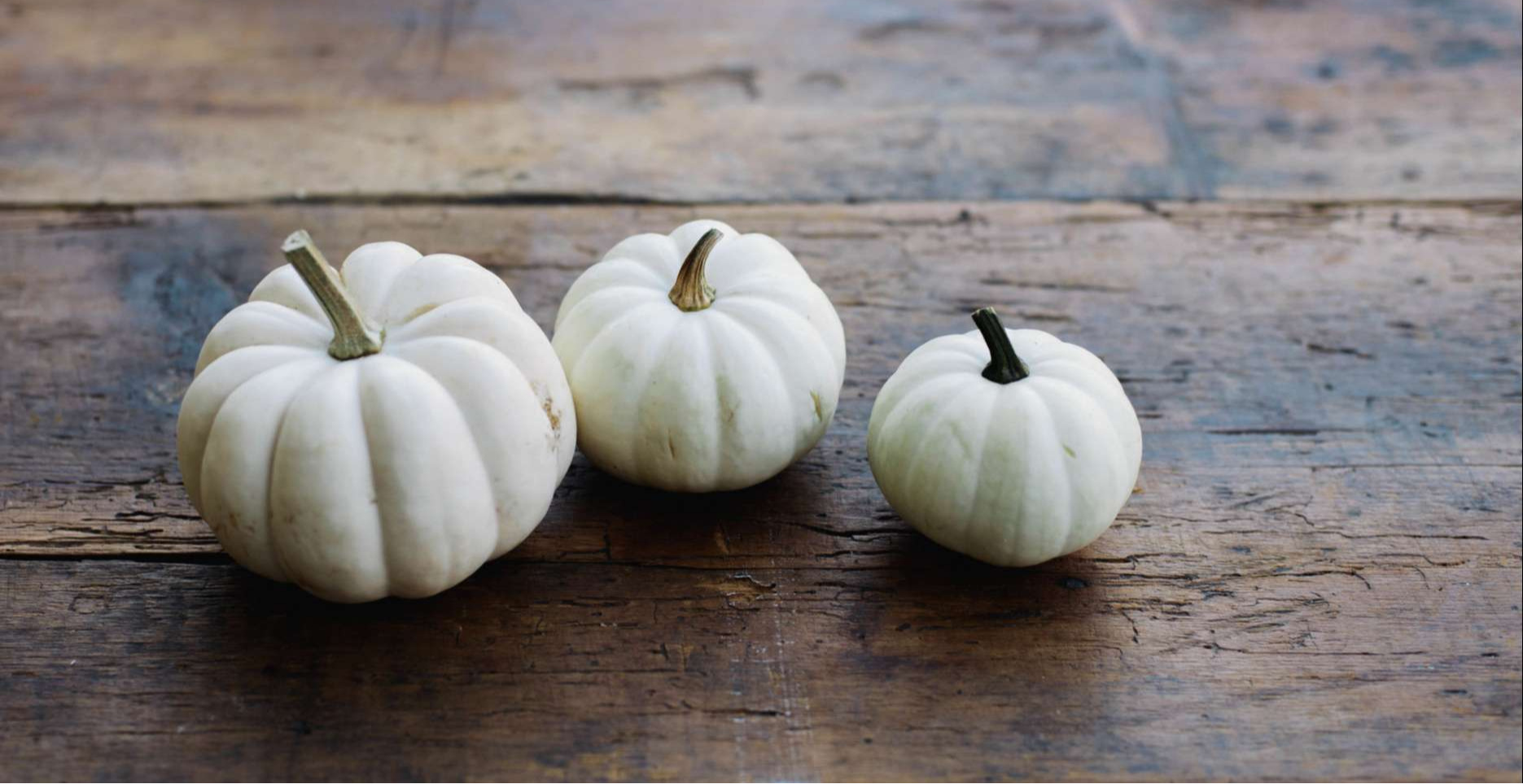 Things to Do in Fort Worth This Fall