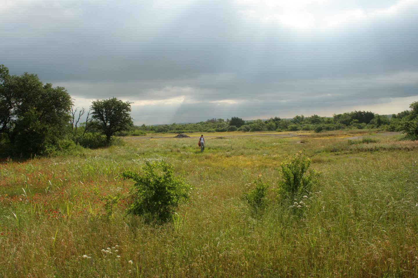 Walsh Collaborates with BRIT for Prairie Home