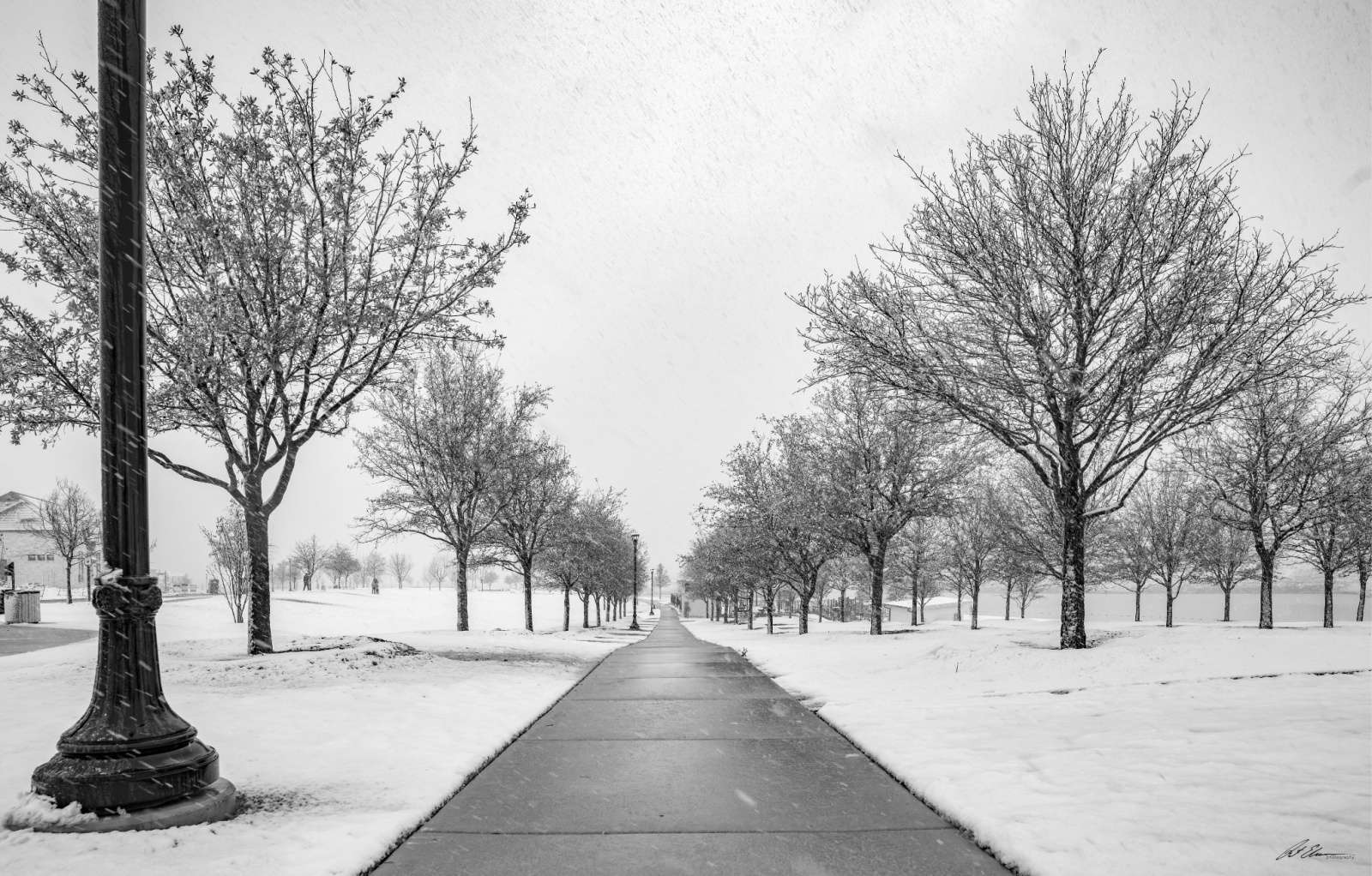 Snow Day at Lake Park in Walsh