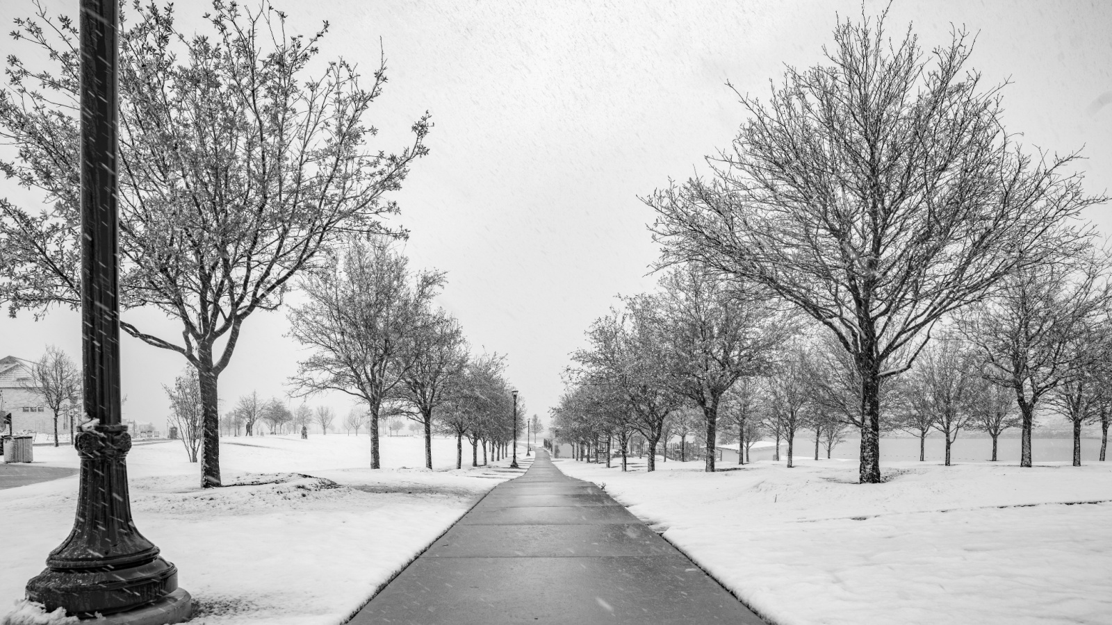Snow Day in Fort Worth