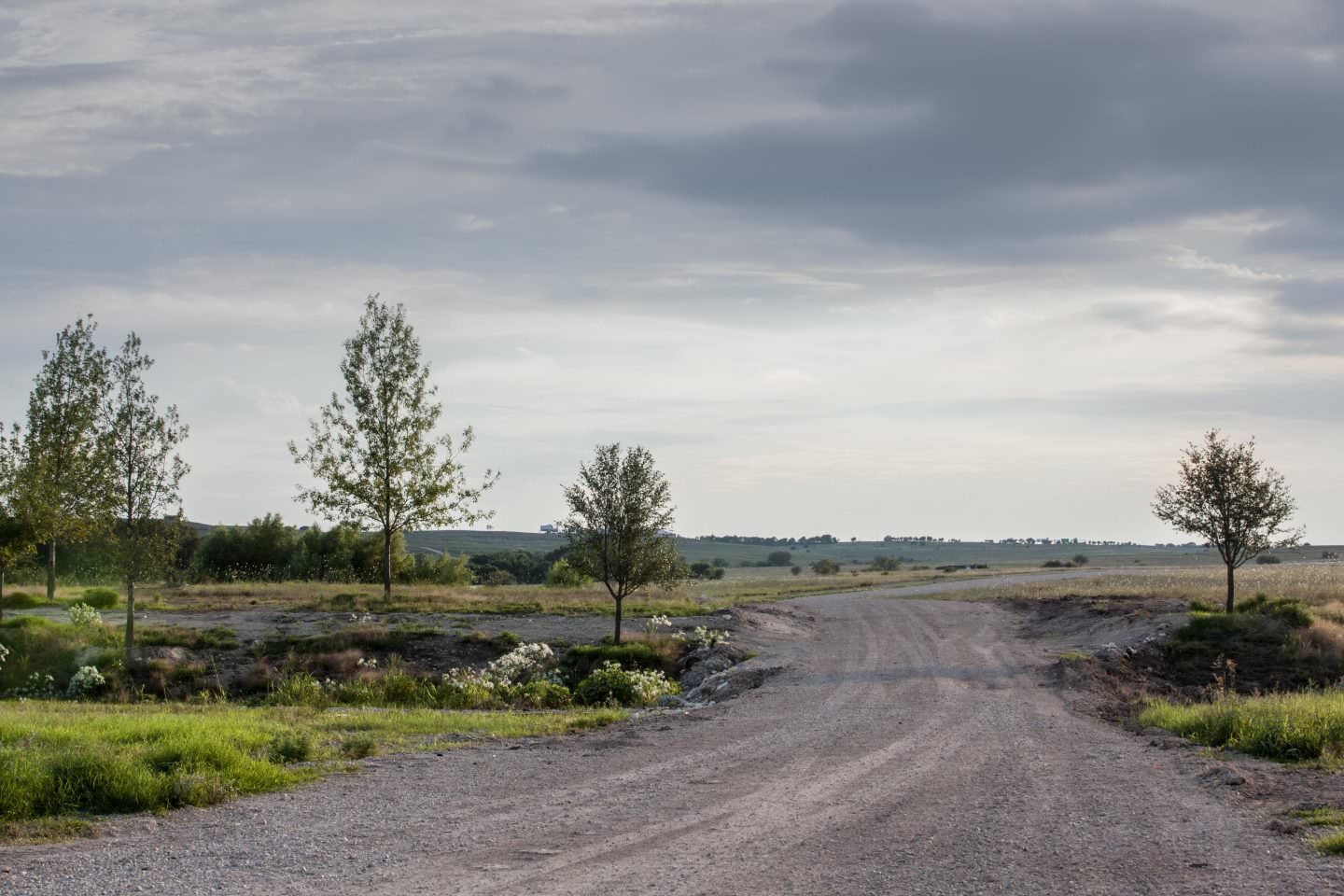 Republic Property and Walsh Homebuilders