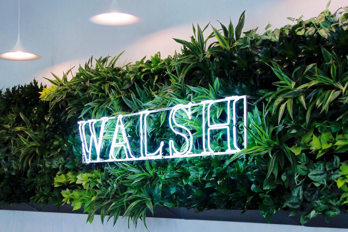 Development group brings $6B Walsh project to Sundance Square