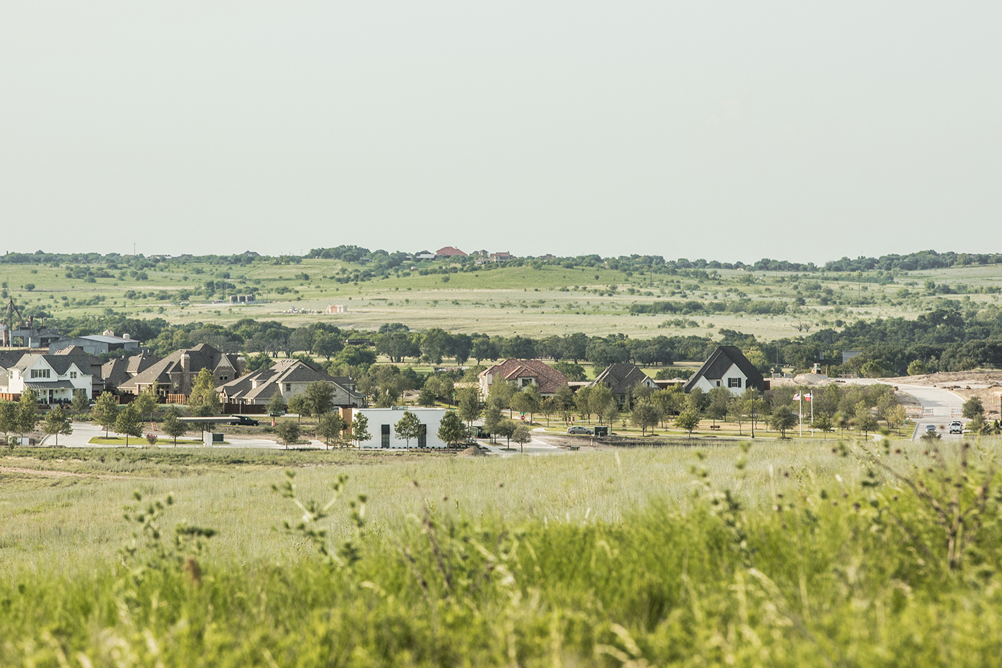Walsh Prairie Restoration